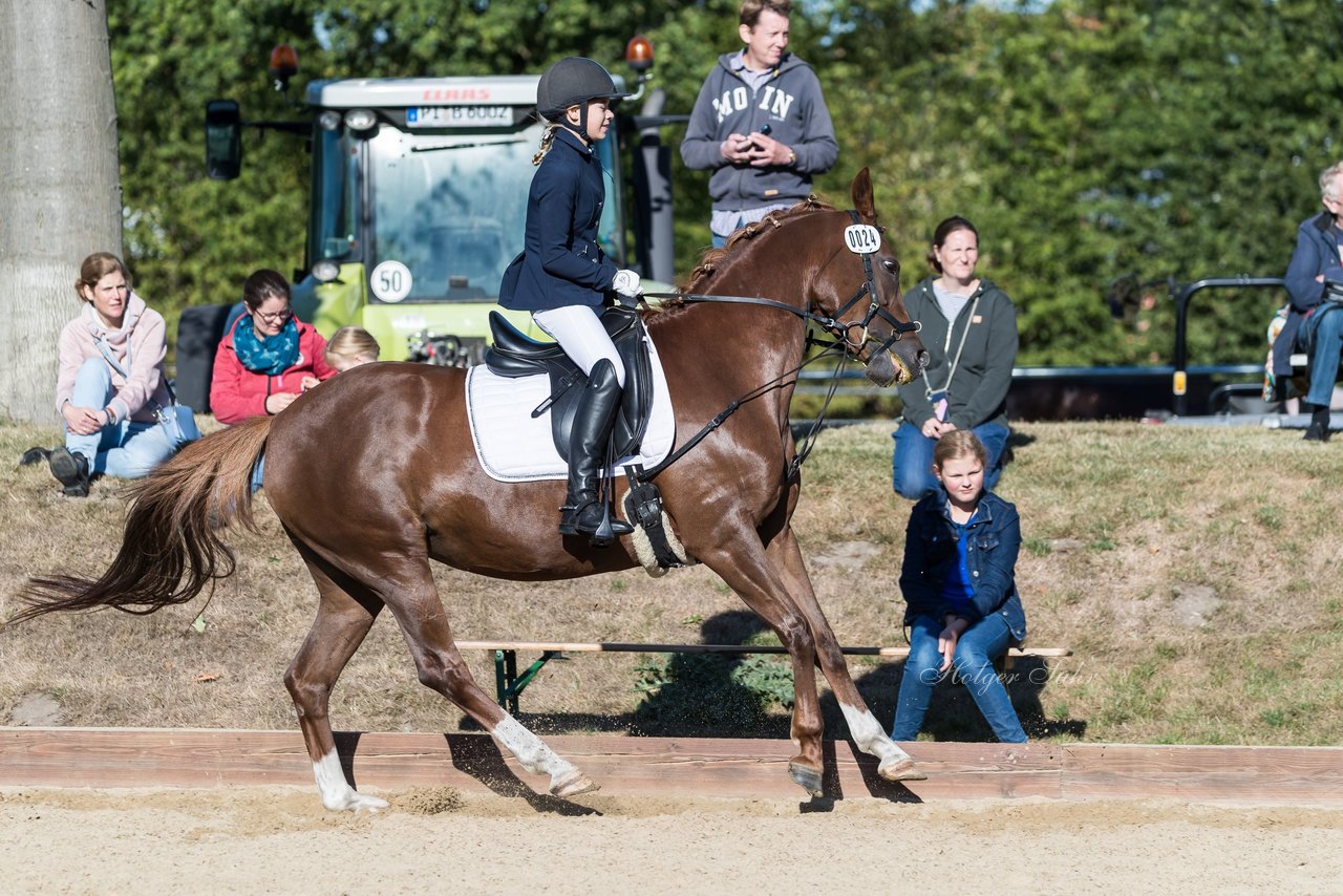 Bild 84 - Pony Akademie Turnier